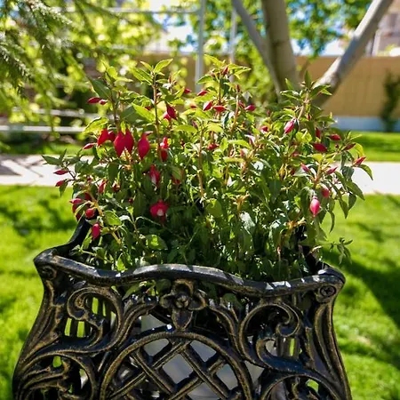 Casa Ypu Affittacamere