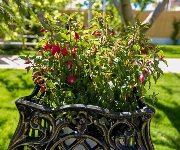 Casa Ypu Guest house